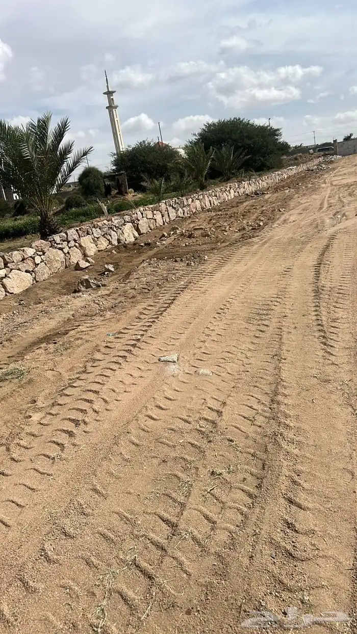 ارض للايجار بالطائف مساحة 51 الف على شارع تجاري 2
