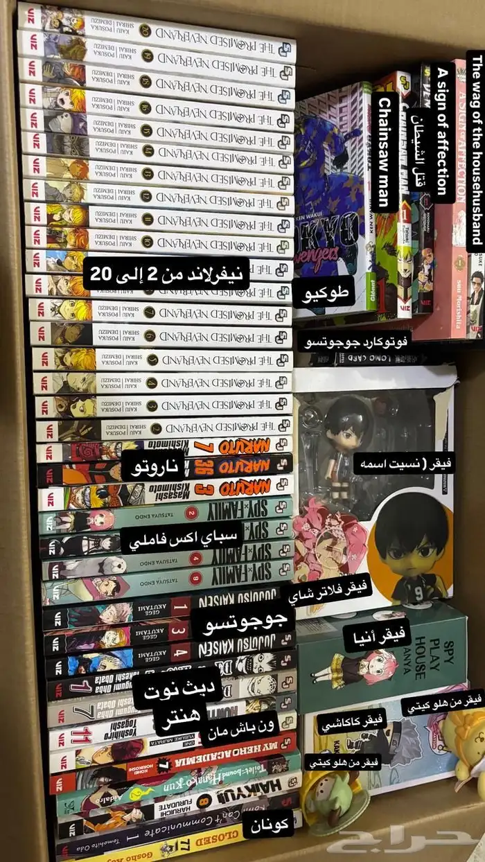 فيقرات وبوسترات 1