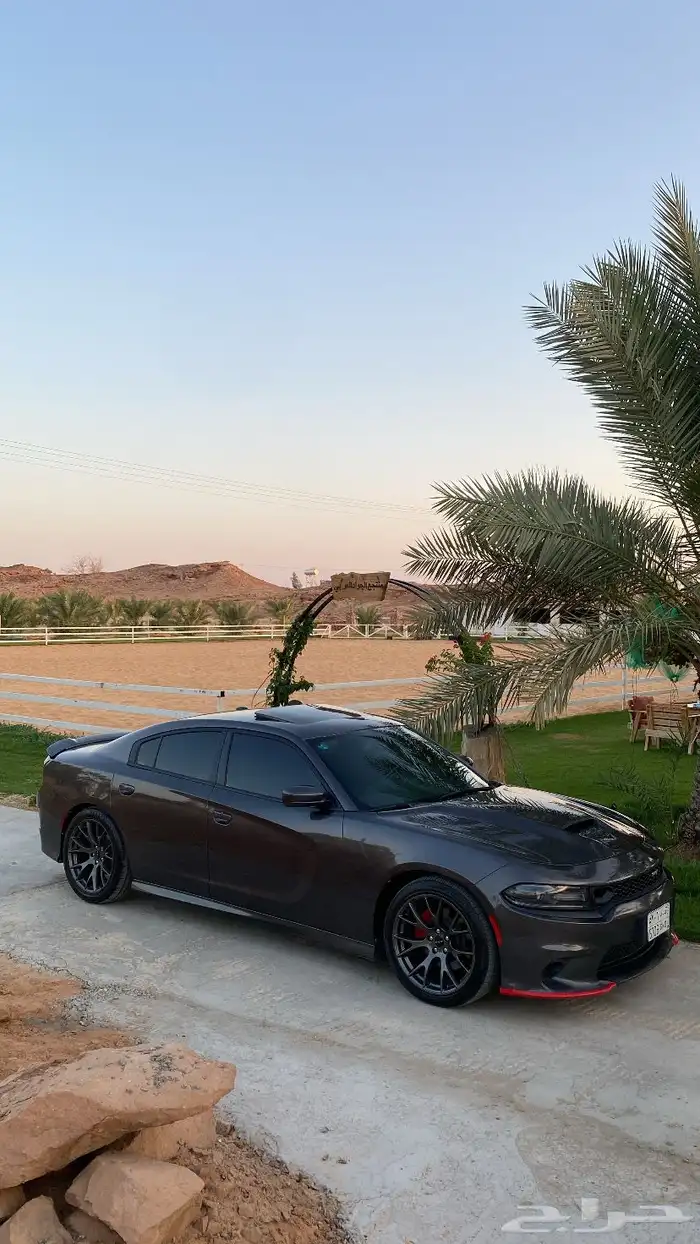 دوج تشارجر gt 2020 8