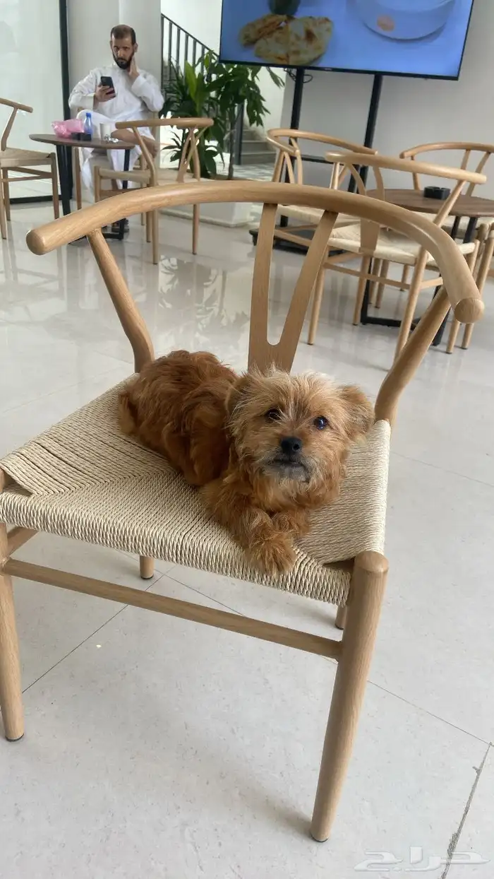 التواصل رقم 0