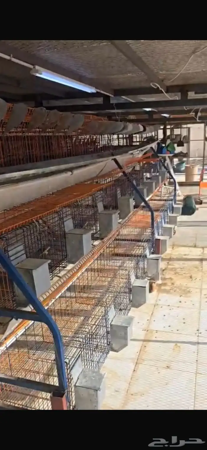 بطاريات أرانب 0