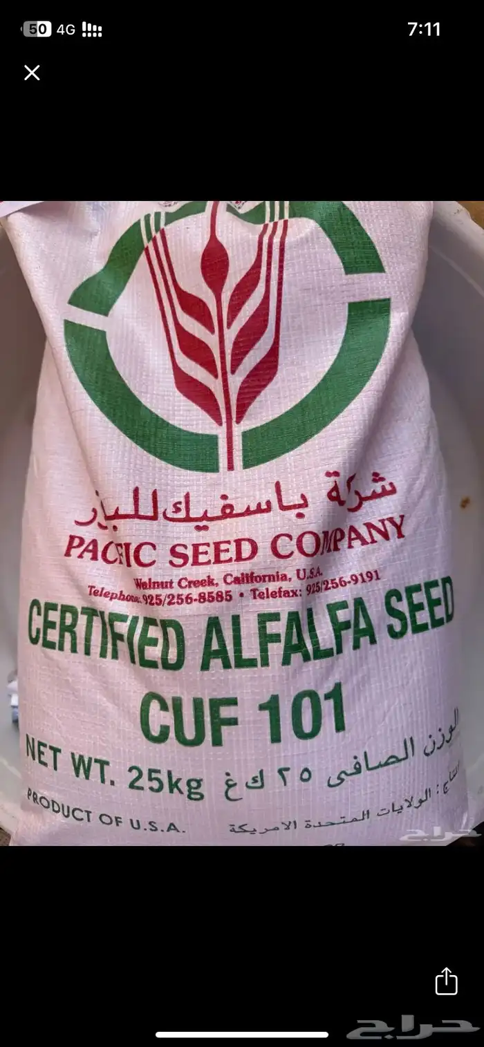 مطلوب بذر برسيم 0