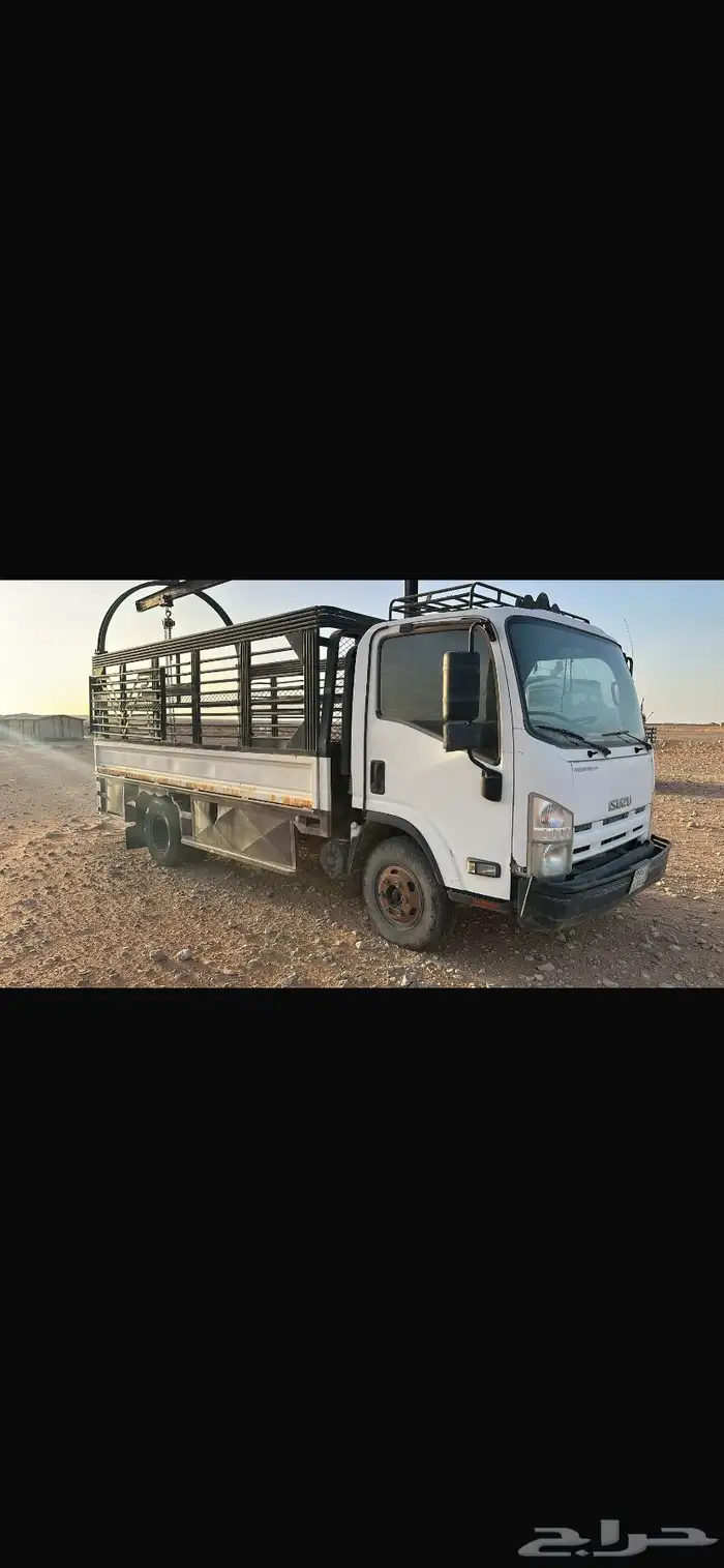 دناء نضيفه 2