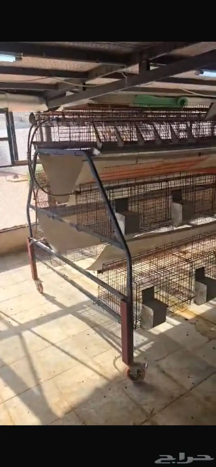 بطاريات أرانب 2