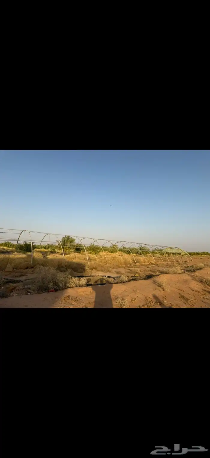 بيوت محميه 3