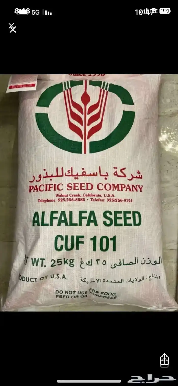 بذور برسيم ( باسفيك ) الامريكي 0