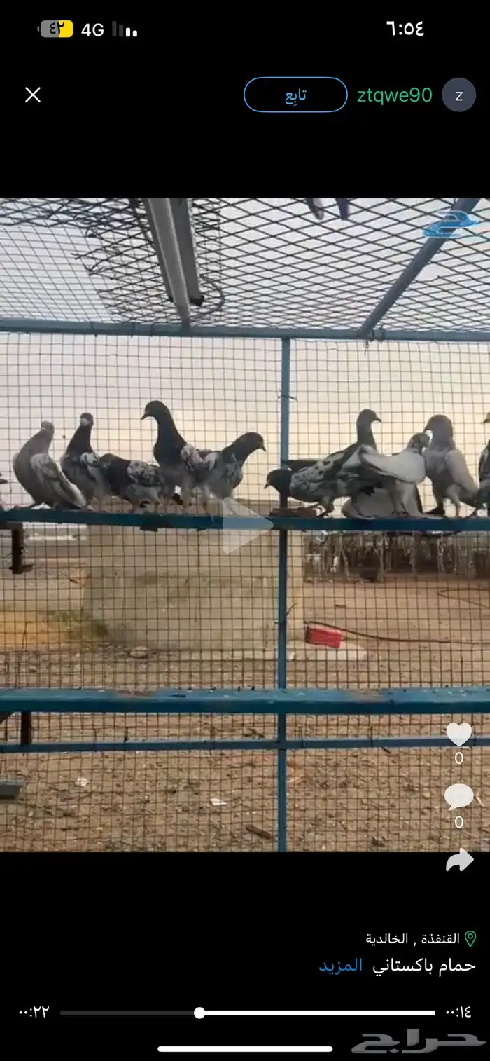حمام باكستاني 0