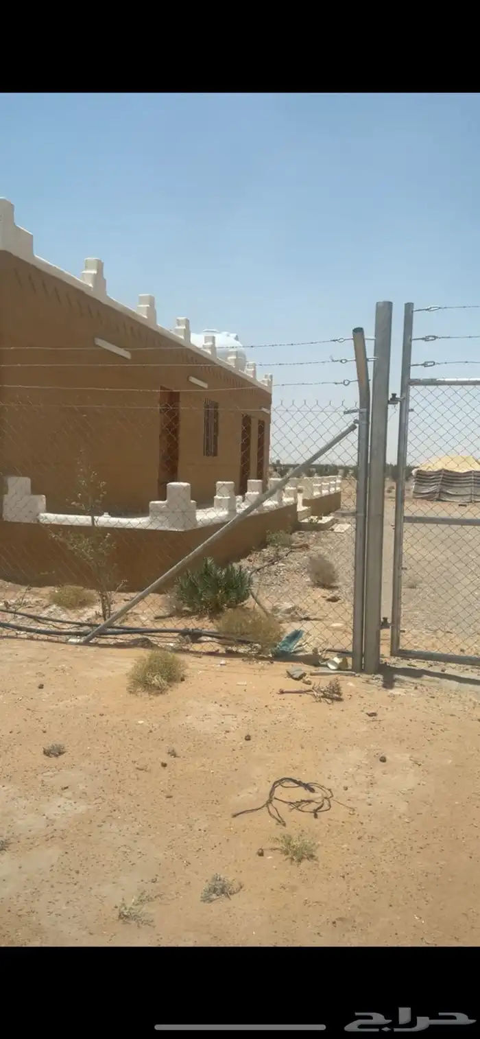 ارض في الجله شارع 50 1