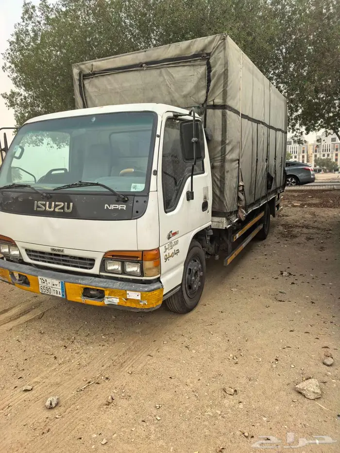دينا ايسوزو 1