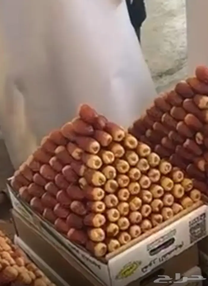 تمور سكري صقعي فاخره 0