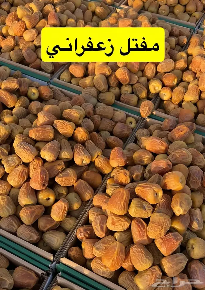 تمور سكري صقعي فاخره 5
