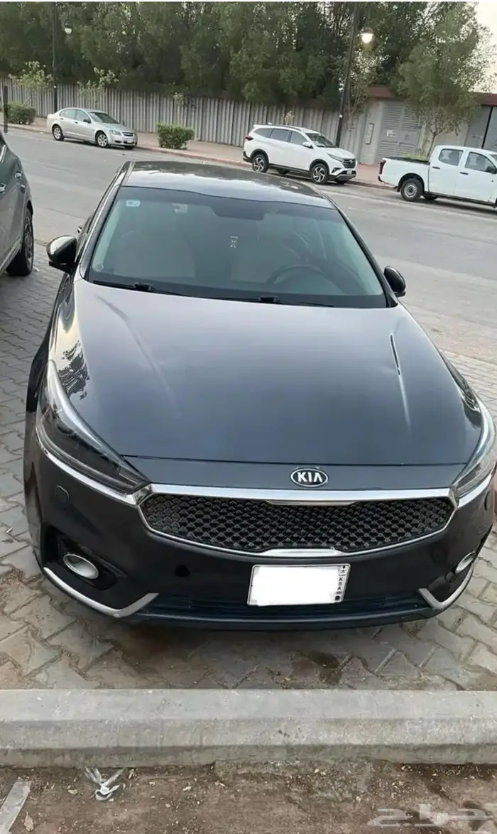 كياء كادينزا 2019 3