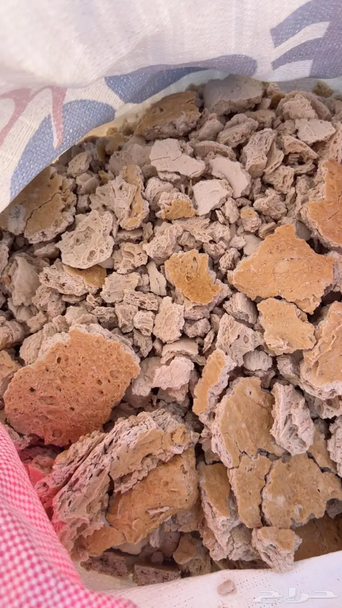 علف عجين ابل وغنم الخرج 1