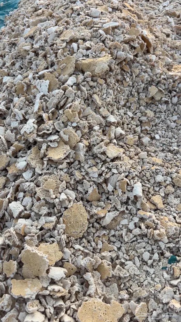 علف عجين ابل وغنم الخرج 4
