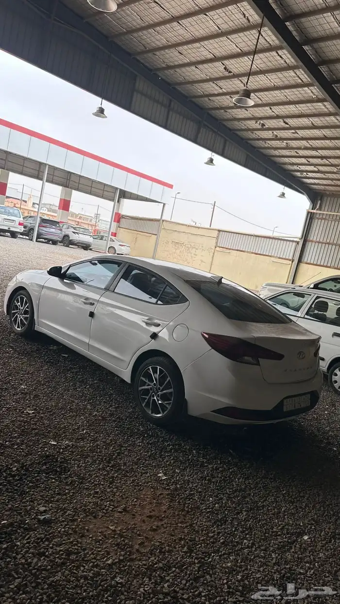 النترا 2019 1