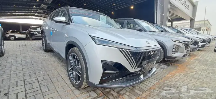 دونج فينج ميج 2025 2