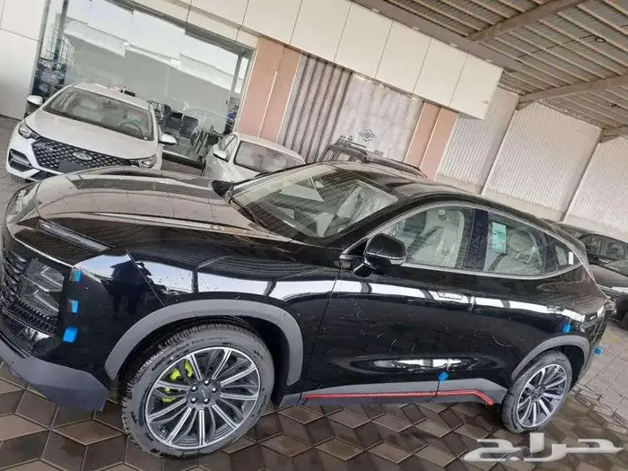 جيتور داشنج فل كامل 2025 1