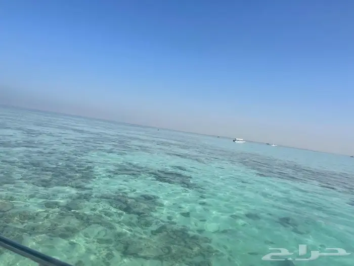 رحلات بحريه ورحلات جزيره بياضه شباب وعوائل مرسي الاحلام 13