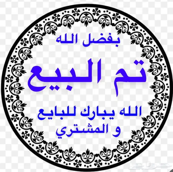 فيبر شاص 1