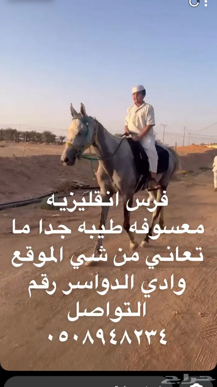 فرس 0