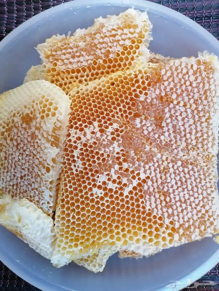 عسل سدر هذا العام وعسل طلح وسمر 9