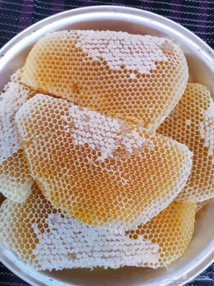 عسل سدر هذا العام وعسل طلح وسمر 7