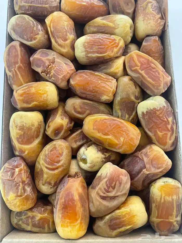 تمور المدينة 7