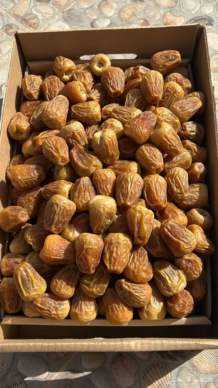 تمر مفتل ملكي نوادر 0