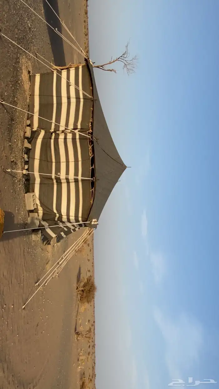 للبيع 3