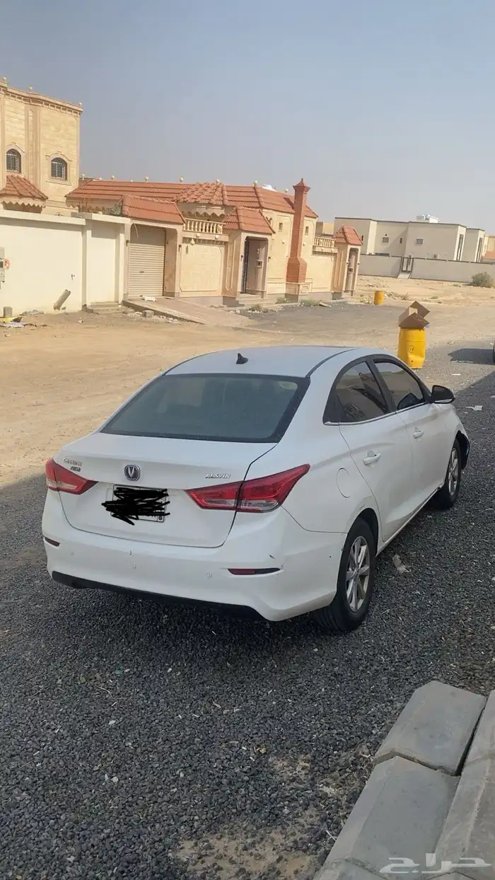 شانجان السفن 2020 2