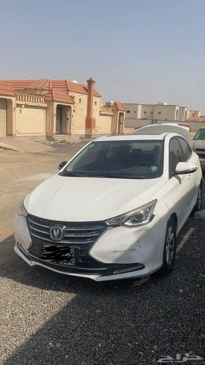 شانجان السفن 2020 1