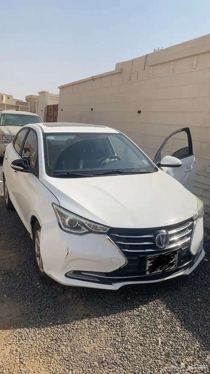 شانجان السفن 2020 0