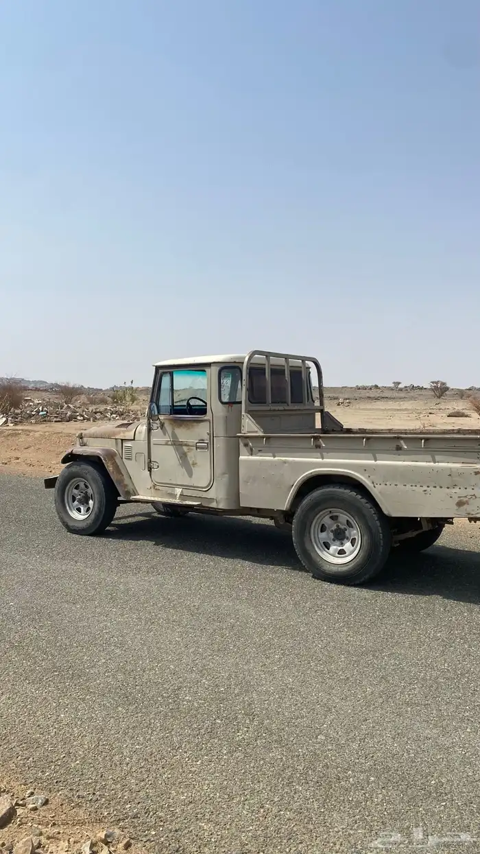شاص 79 1