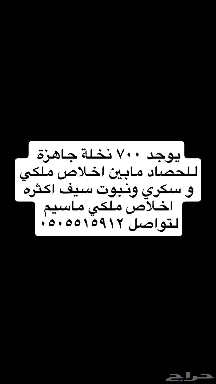 تمر رطب اخلاص 0