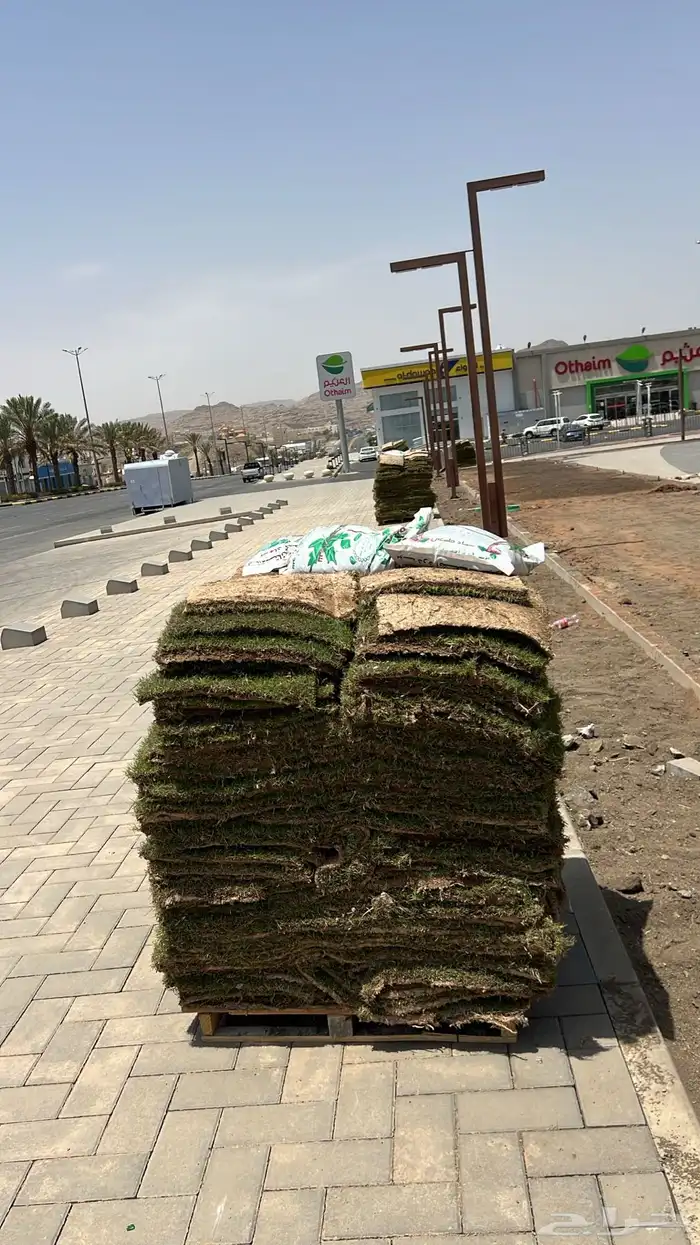 شبكات ري وعشب طبيعي وأشجار 12