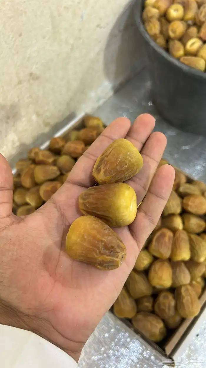 تمور العقيلات 0