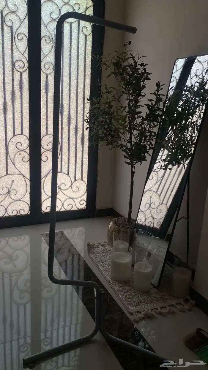 طيور باجي ذكر وانثى مع مستلزماتهم بالوصف 0