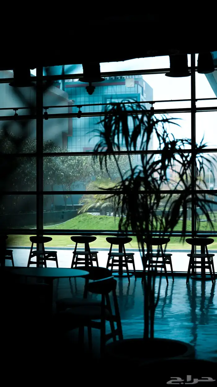 مصور فوتوغرافي 4