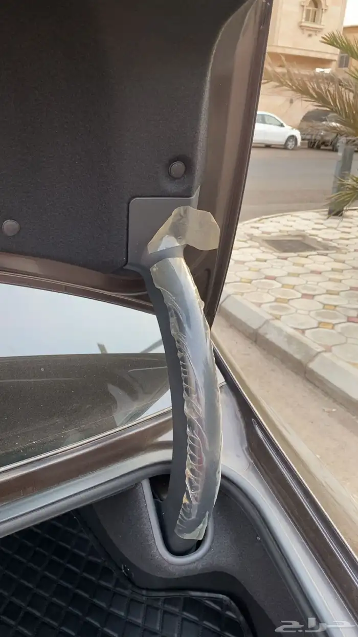 كادينزا2020 8