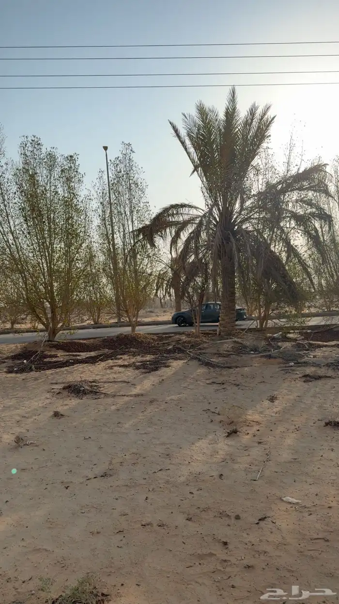 للبيع ارض بحي العدامة بالخرج 2