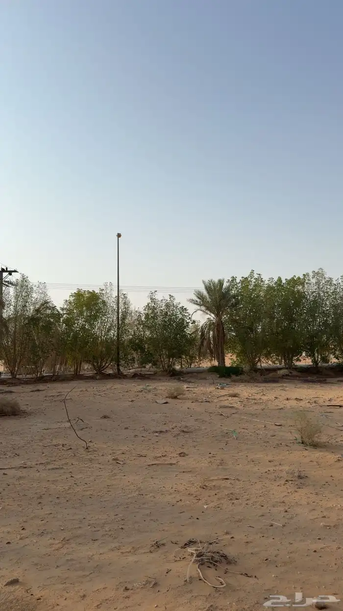 للبيع ارض بحي العدامة بالخرج 1