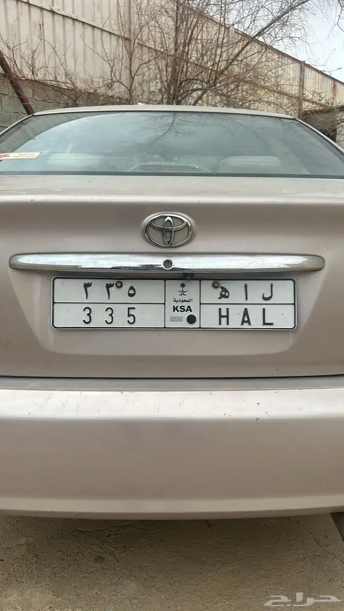 لوحه للبيع مميزه جاهزه للنقل 0