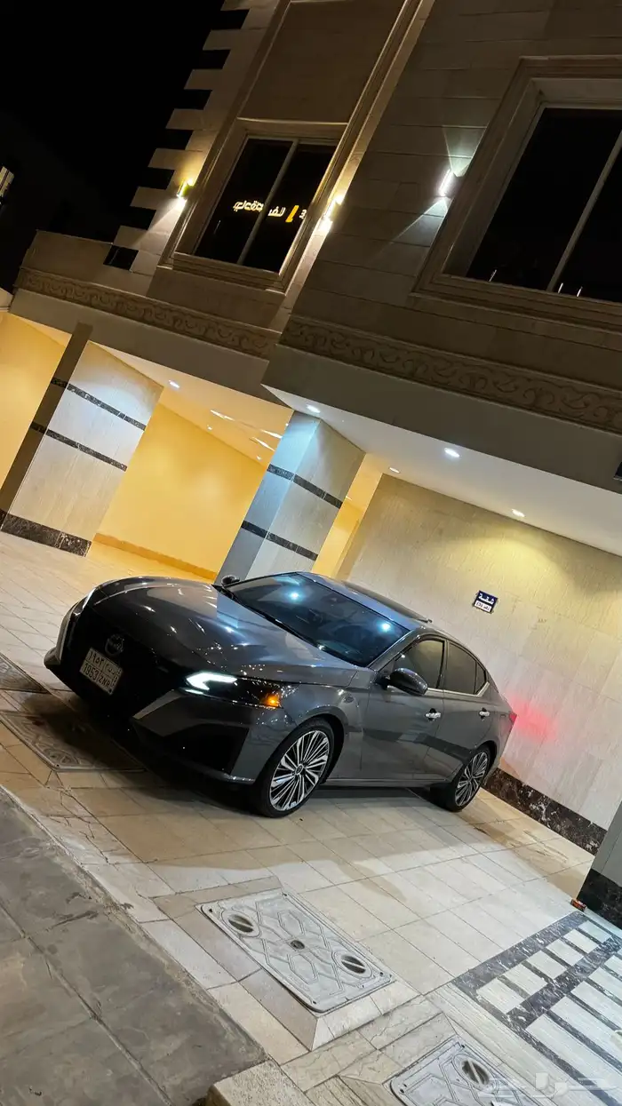 التيماء 2024 8