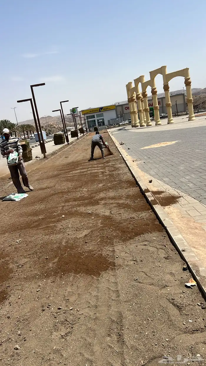 شبكات ري وعشب طبيعي وأشجار 8