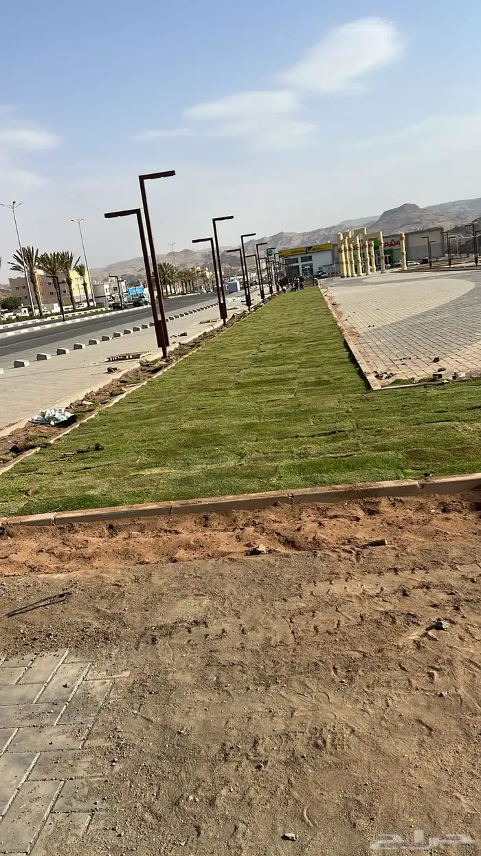 شبكات ري وعشب طبيعي وأشجار 4