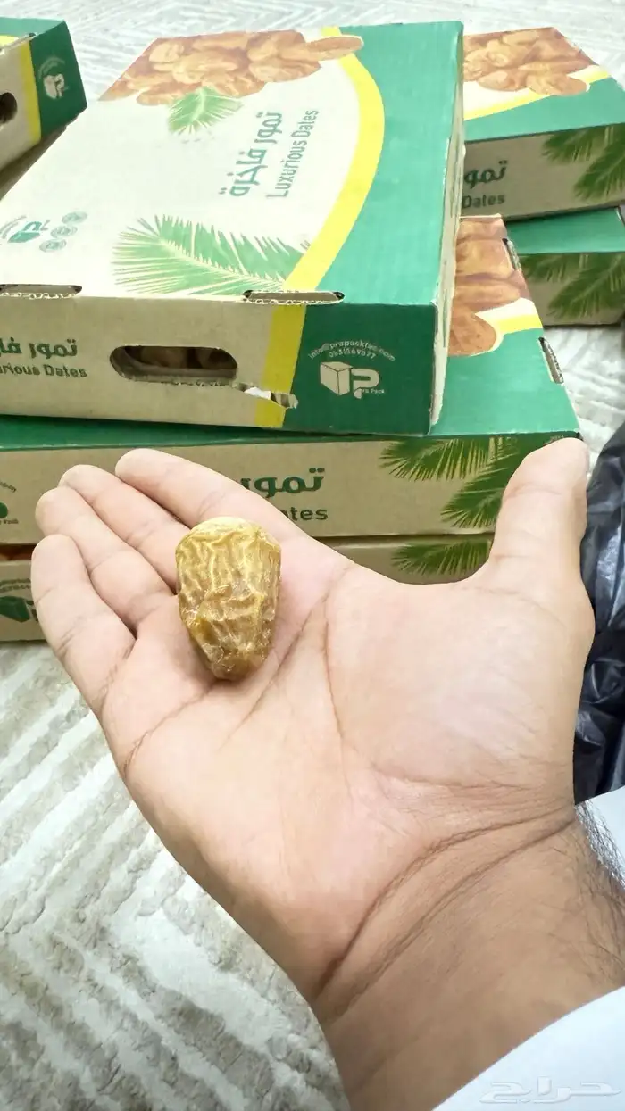 تمر القصيم فاخر 3