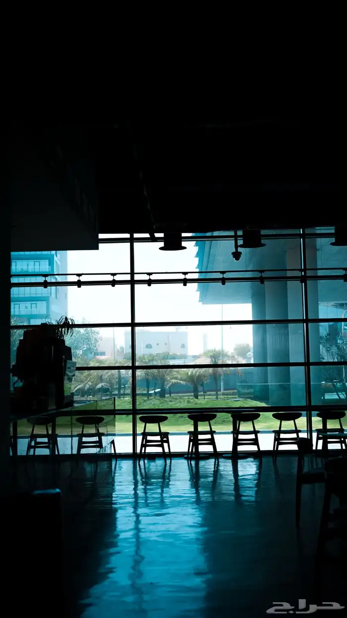 مصور فوتوغرافي 8