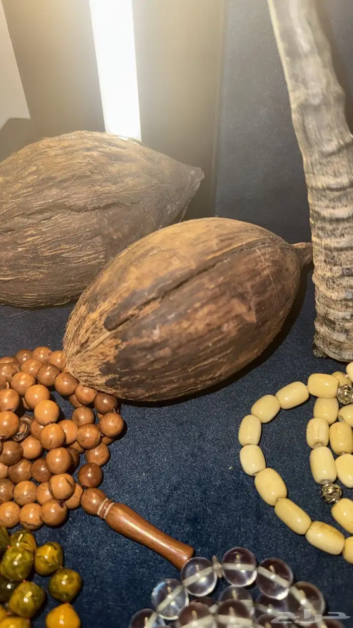 سبح مميز 15