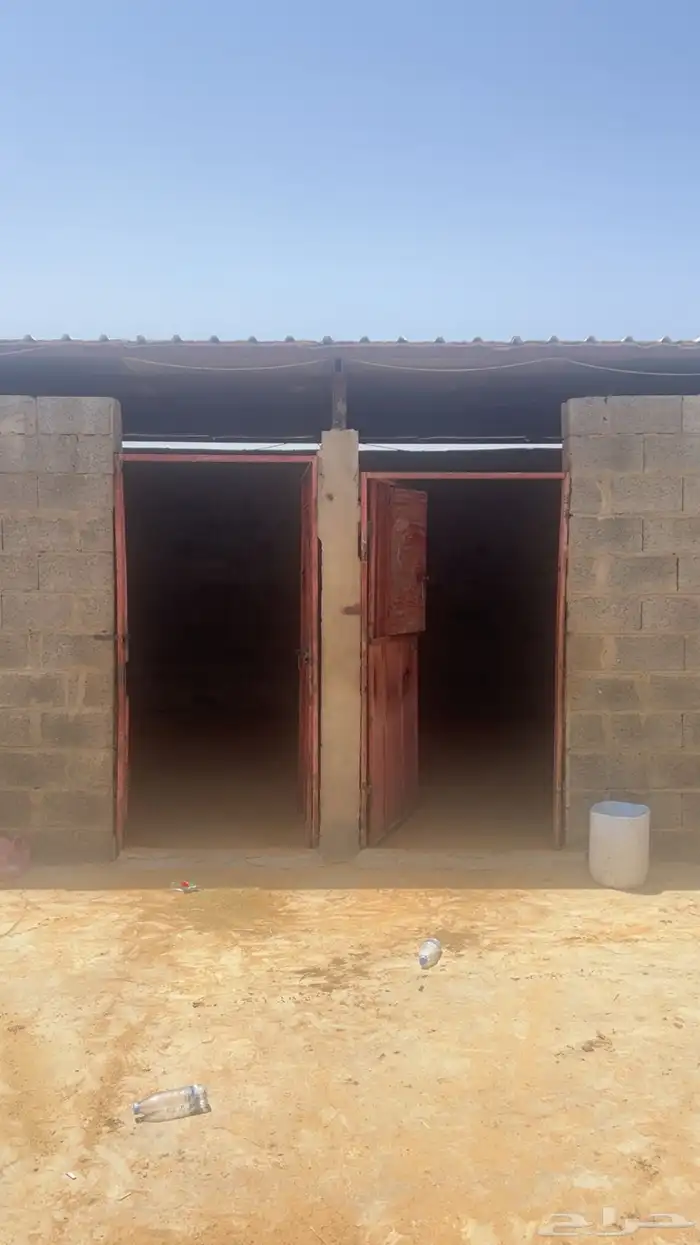 اسطبل للاجار ( أجار ) غرف للخيل 3