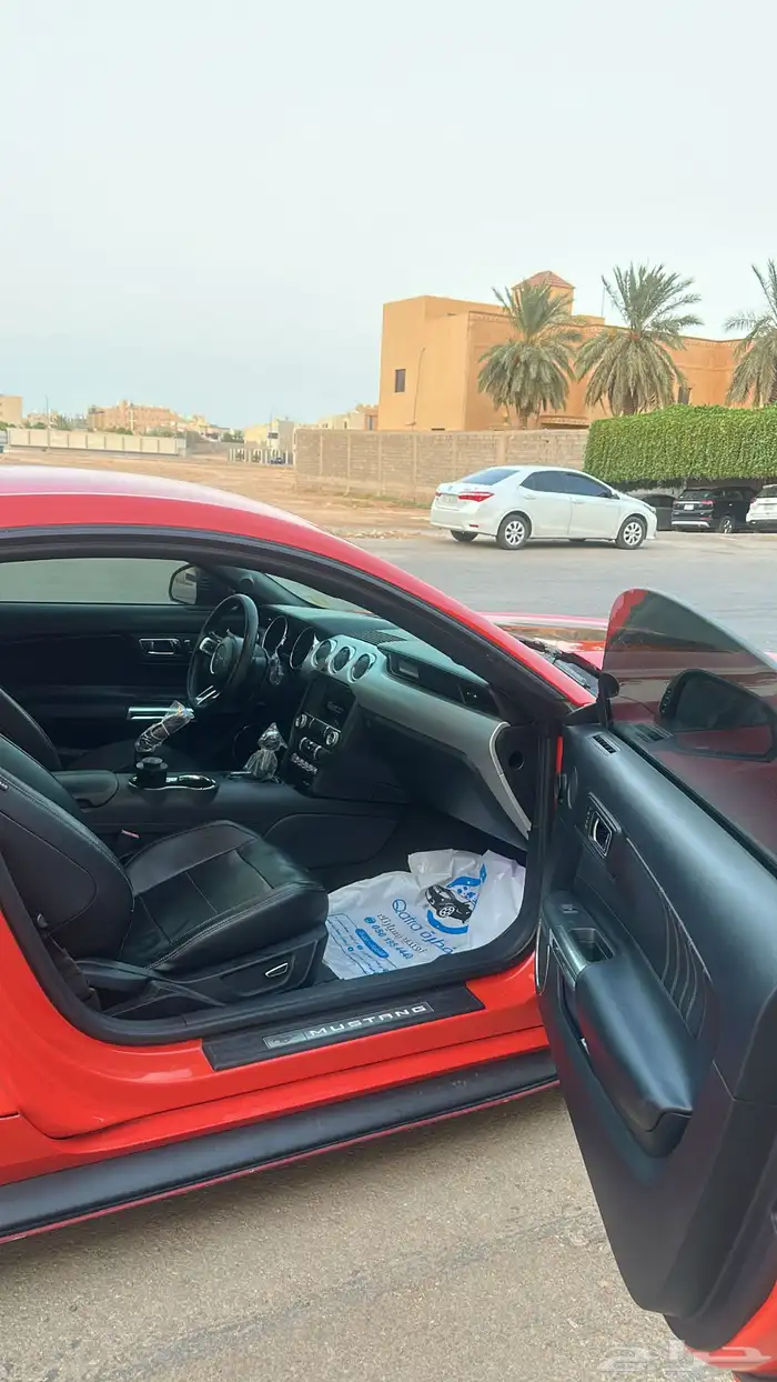موستنق GT مالك ثاني 17